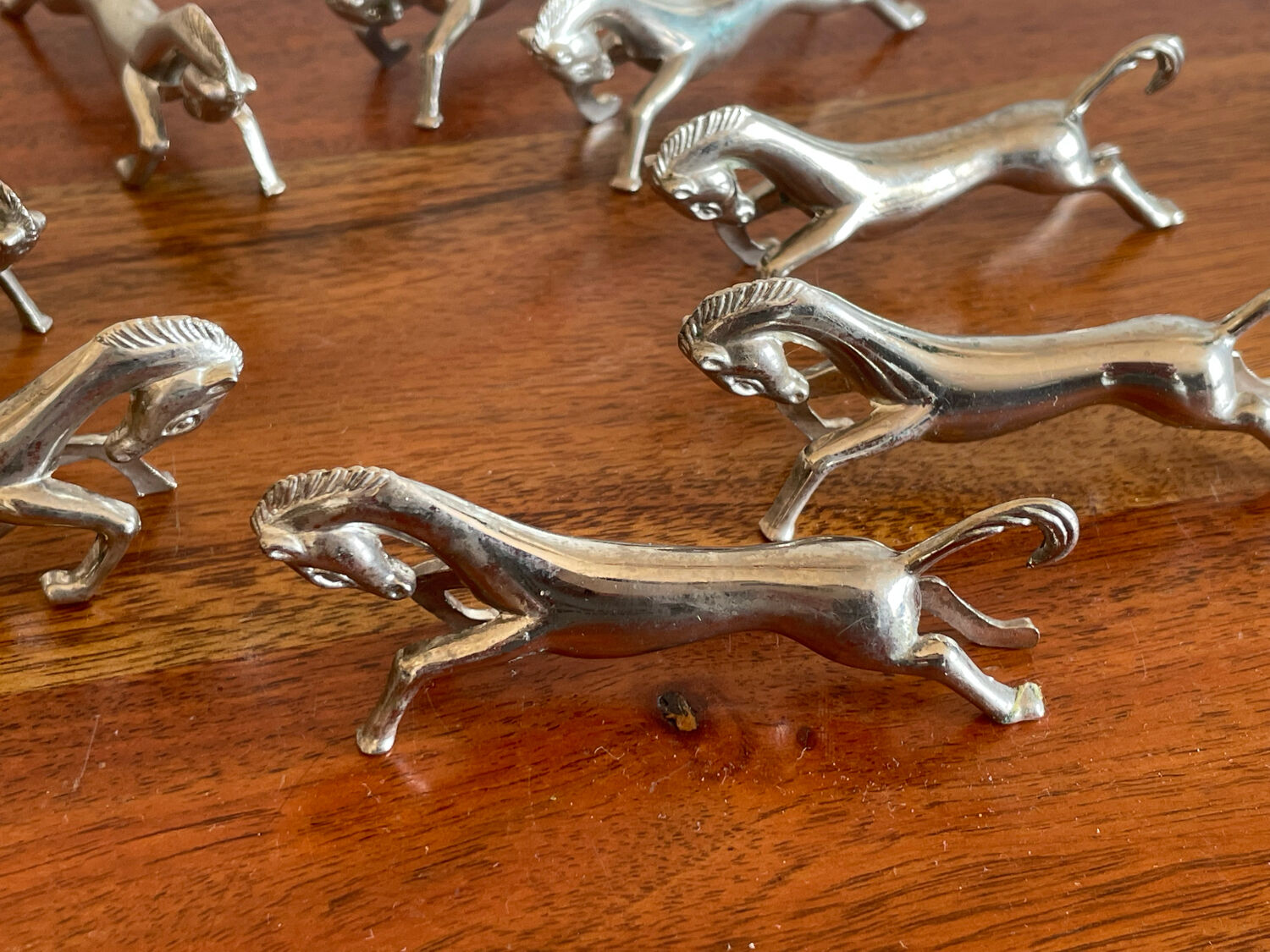 8 doors covered horses