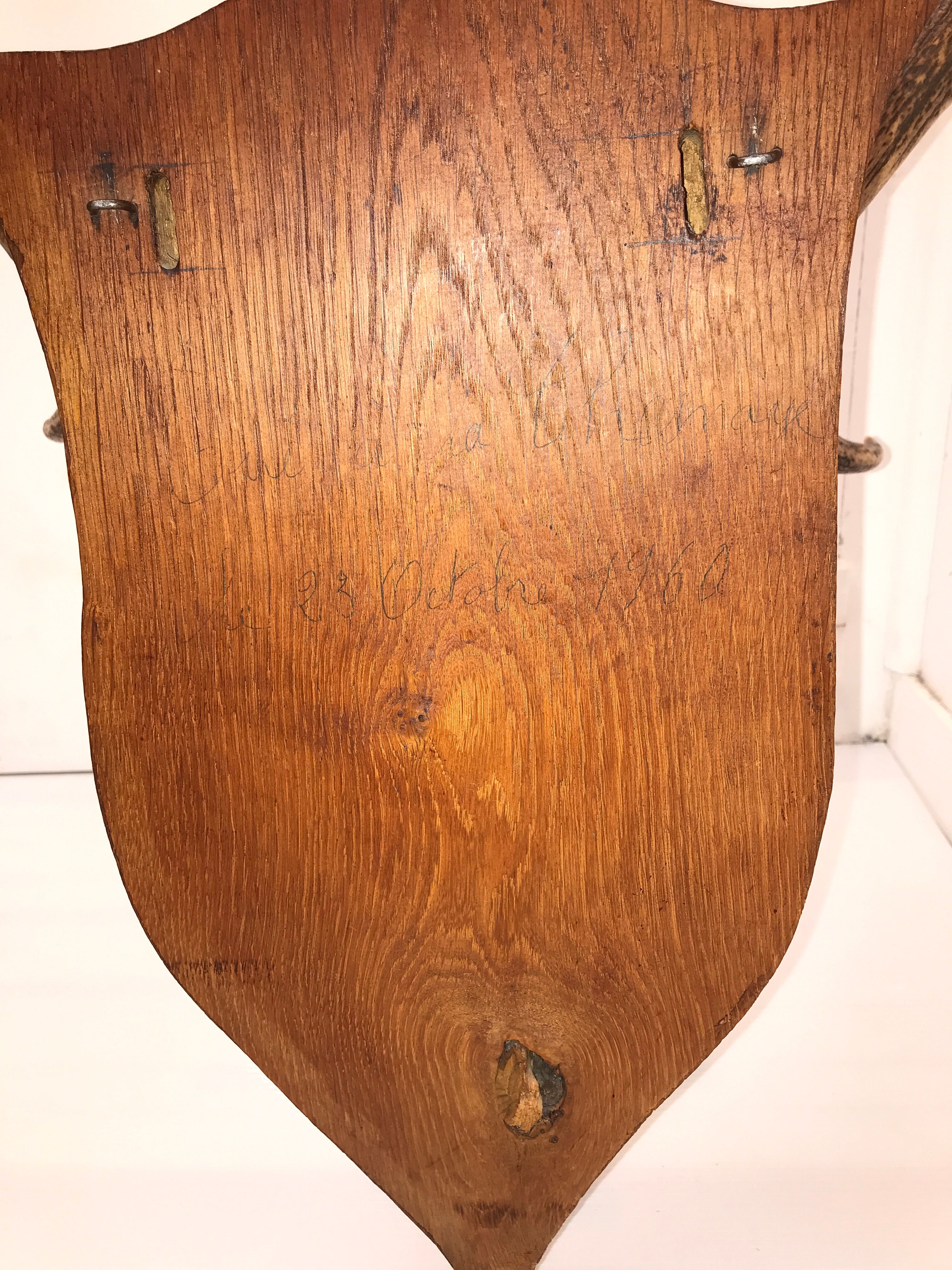 Deer trophy on wooden base 1960