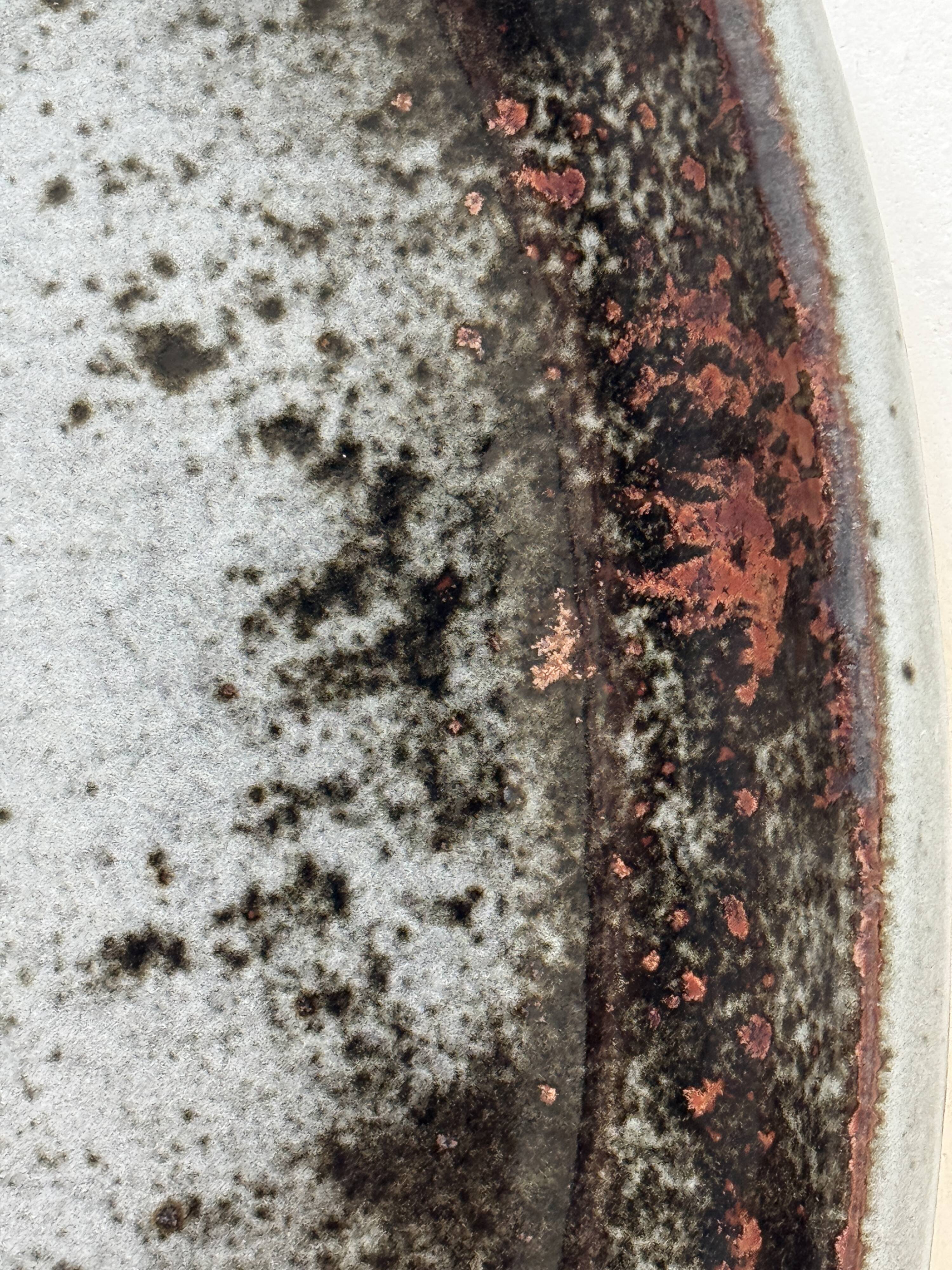 Large glazed stoneware dish from Loir, enamelled & signed, Chantal & Thierry Robert 1970.