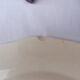 Lot de 5 assiettes plates Sarreguemines modèles Agreste