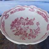 Mason's Manchurian English Salad Bowl