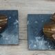 Greenhouse book art deco swan