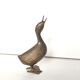 Brass duck 60s