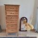 Oak chest of drawers