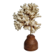 Old white coral on wooden base, branched, 20 cm