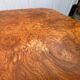 Elm burl coffee table/bar