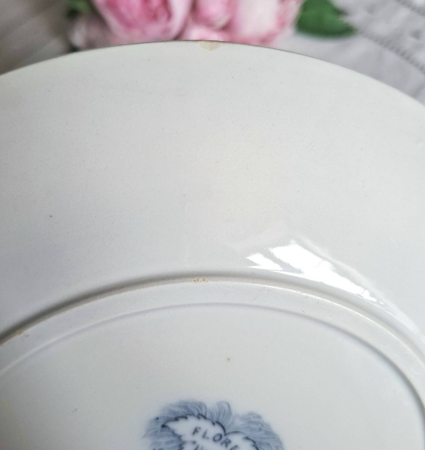 Mismatched antique ironstone dinner plates