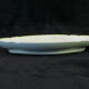 Delight in faience k.g luneville model tulipe nº2