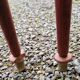 2 antique rosewood nesting tables