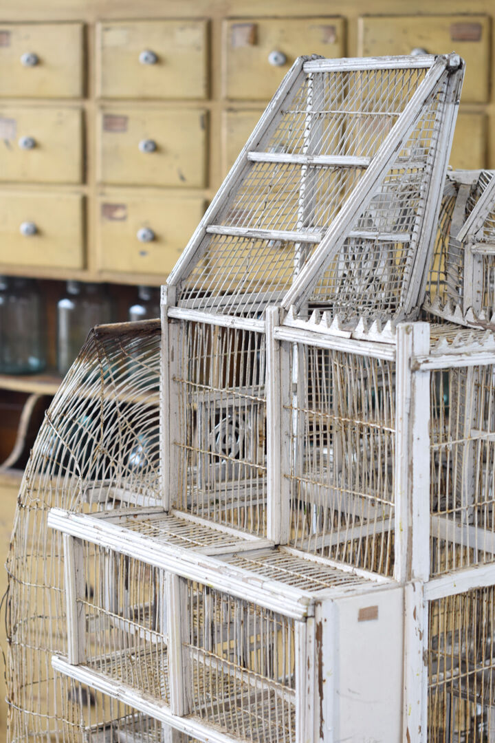 Great aviary bird cage nineteenth century