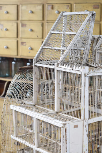 Cage à oiseau xixème