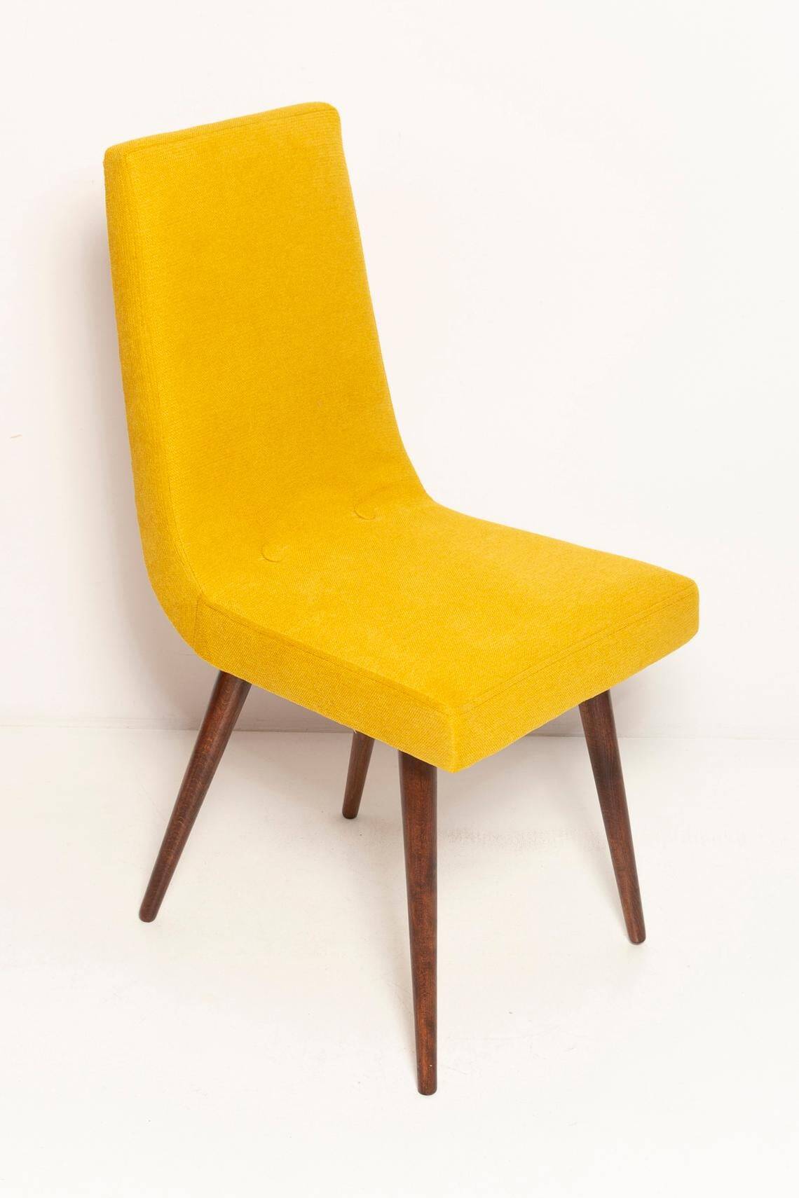 Mustard wool chair from the mid-century, Rajmund Halas, Europe, 1960s.