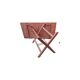 Table de camping / campagne pliante