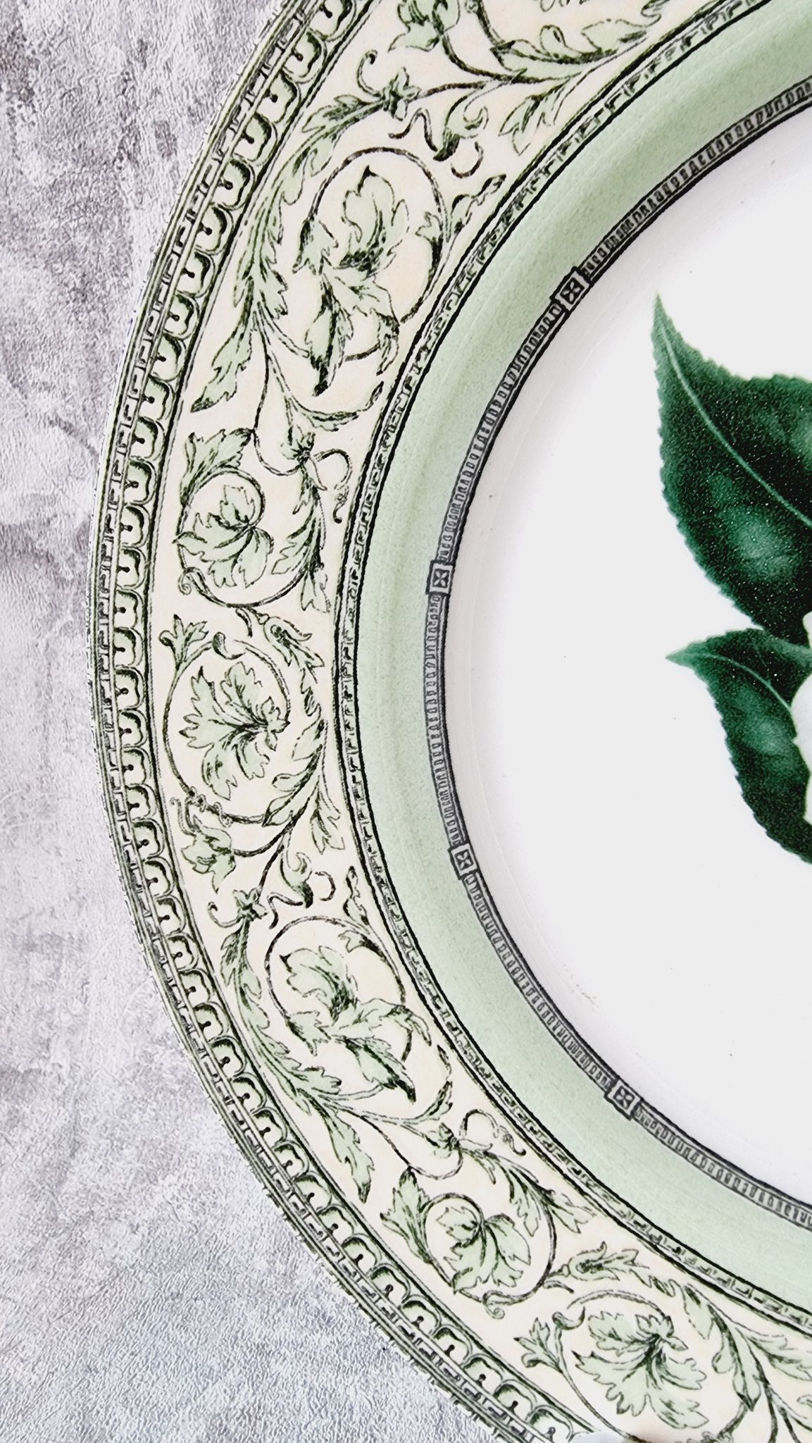 Vintage plate from the royal horticultural society applebee collection of england