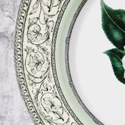Vintage plate from the royal horticultural society applebee collection of england
