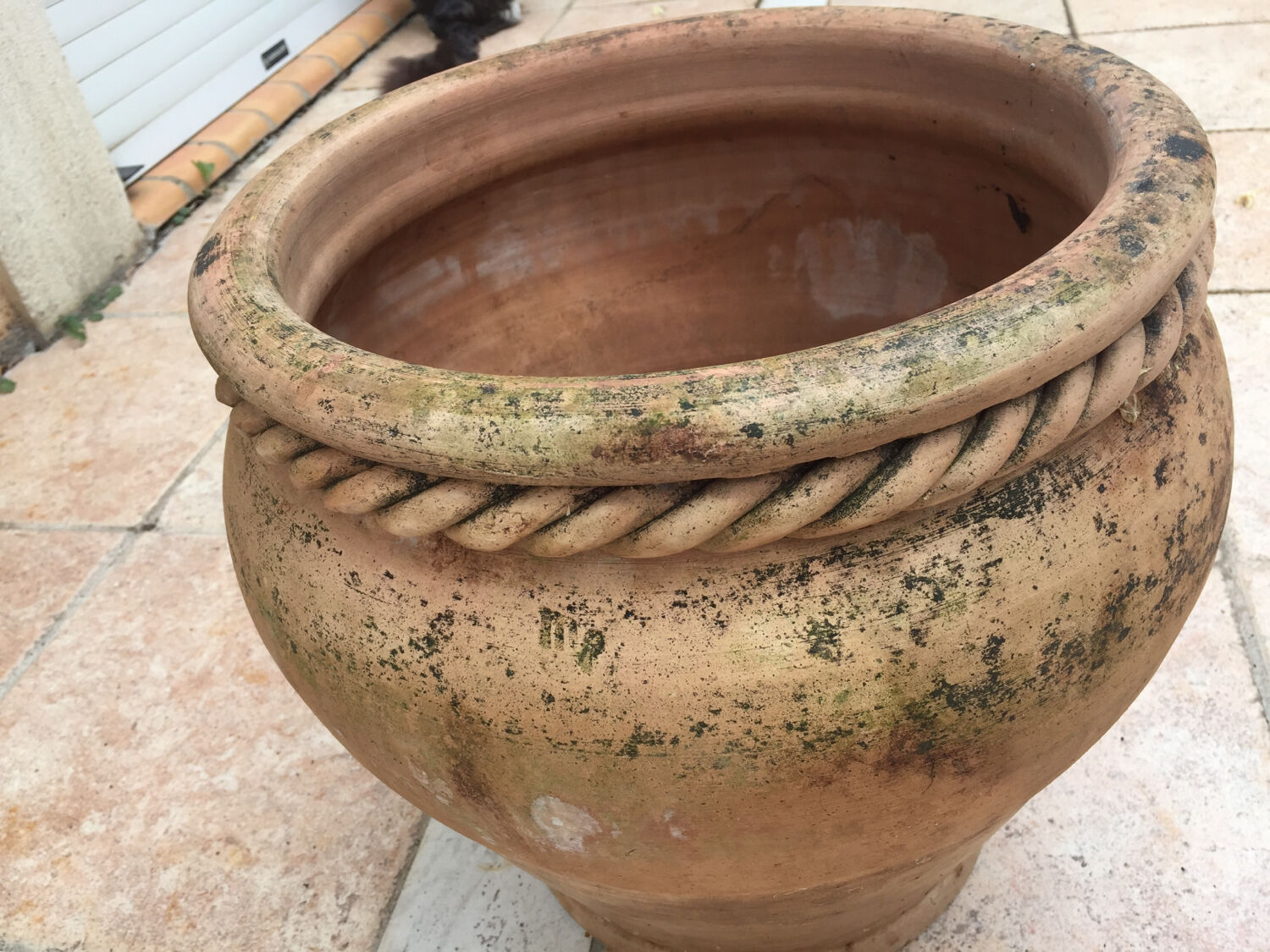 Terracotta pot