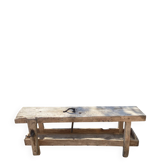 Established old oak