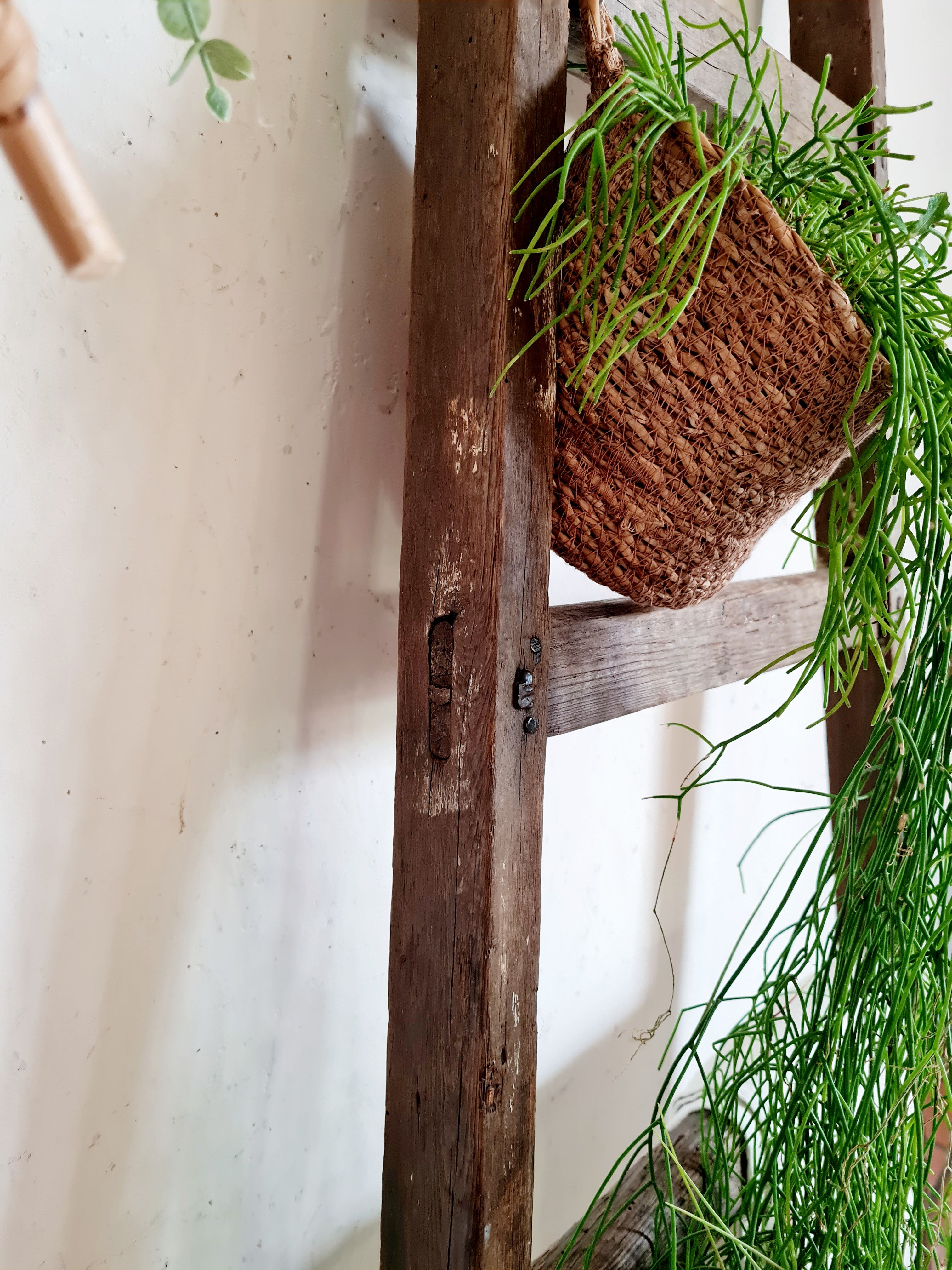 Old wooden country scale