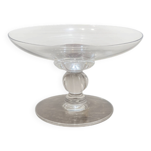 Coupe sur pied daum France