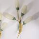 Set of 3 Vintage 1950s Wall Sconces in Floral Style, Italian Design