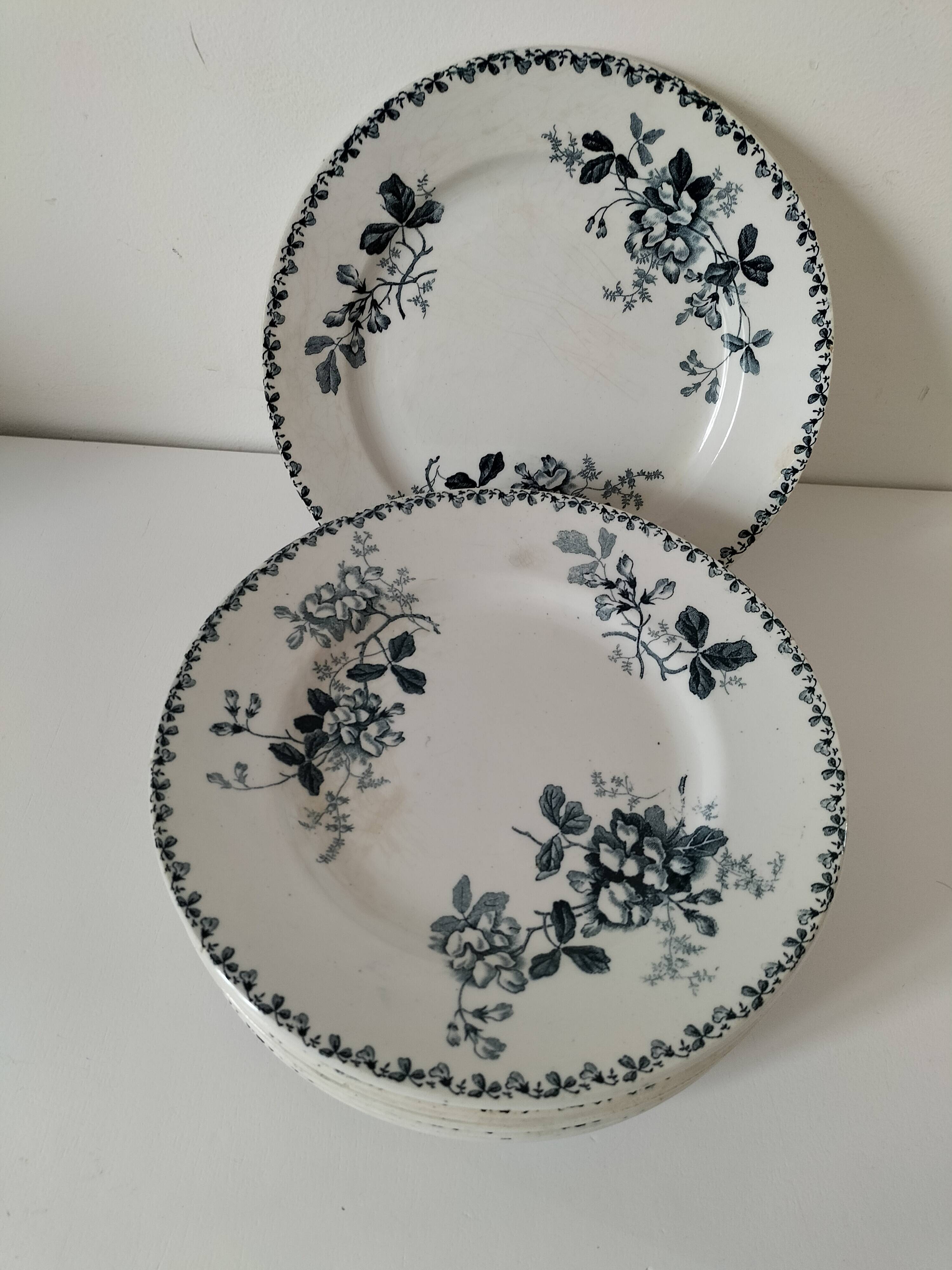 Set of 10 ironstone plates Moulin des Loups Acacia