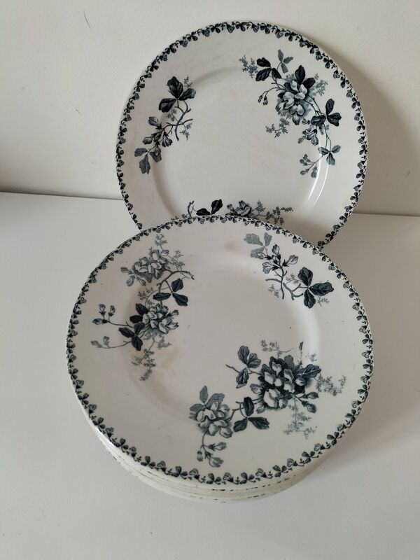 Ensemble 10 assiettes terre de fer Moulin des Loups Acacia