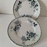 Set of 10 ironstone plates Moulin des Loups Acacia