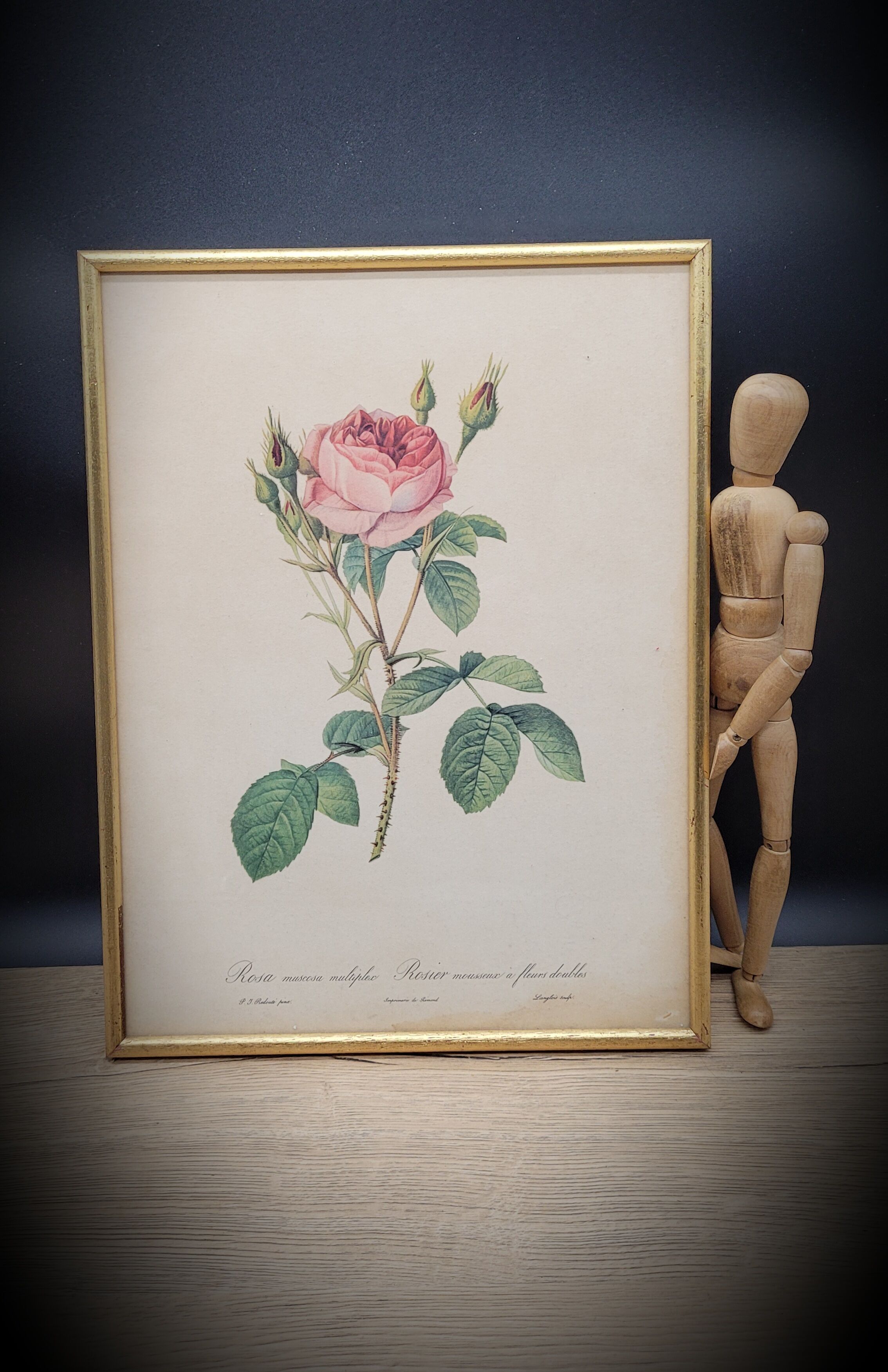 Litho frame sparkling rose with double flowers