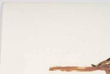 Numbered color silkscreen print, Jean-Michel Basquiat, 1990s