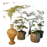 Vase bunch of grapes