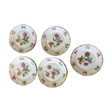 Flat plates lourioux foecy