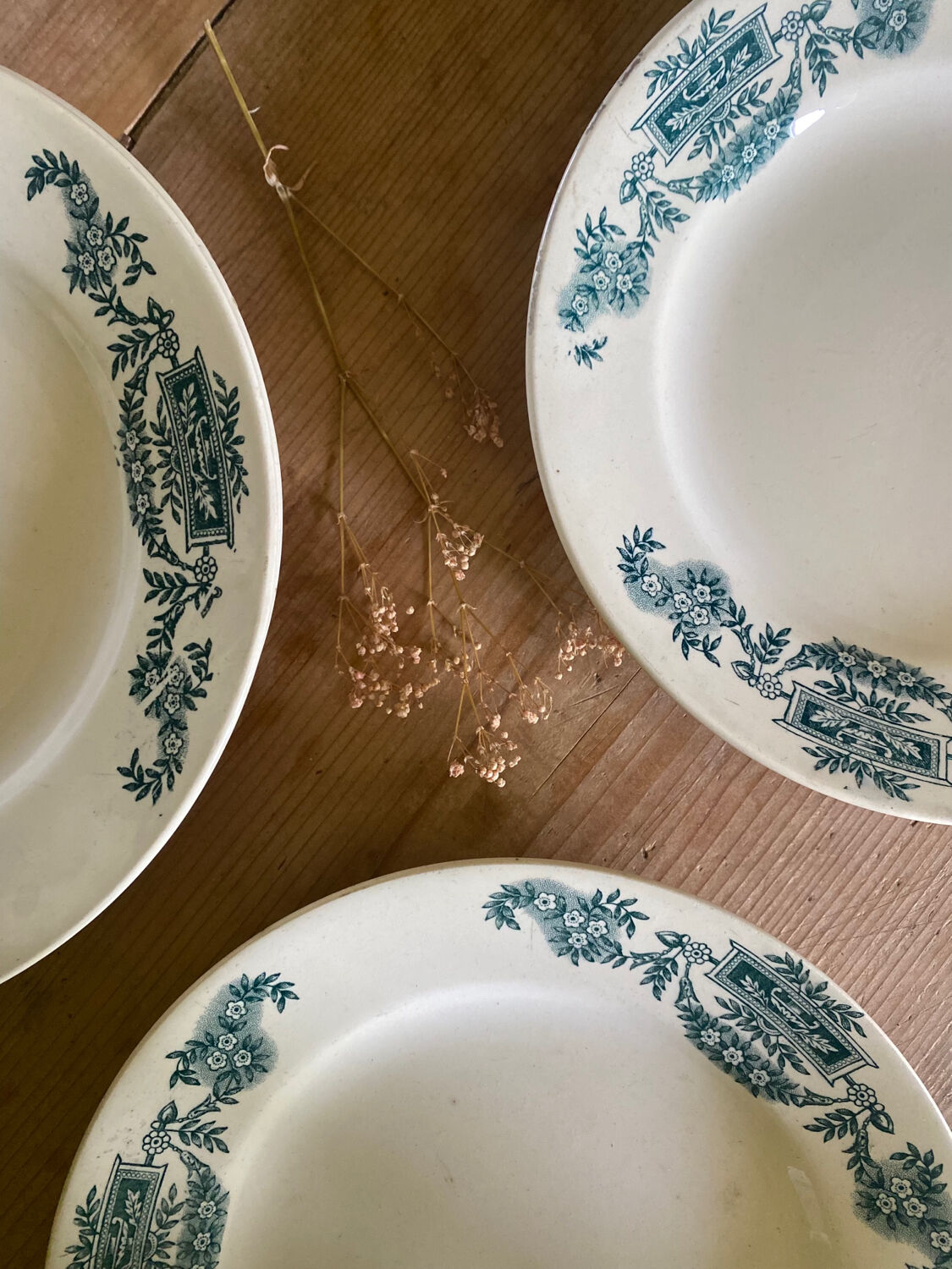 6 flat plates iron earth Lutetia Longchamp