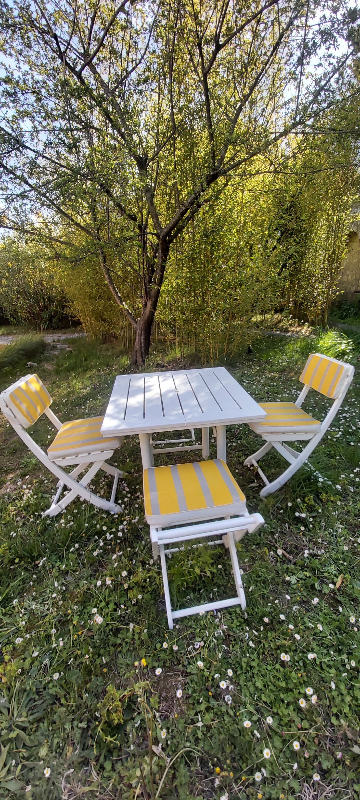 Vintage Triconfort garden set