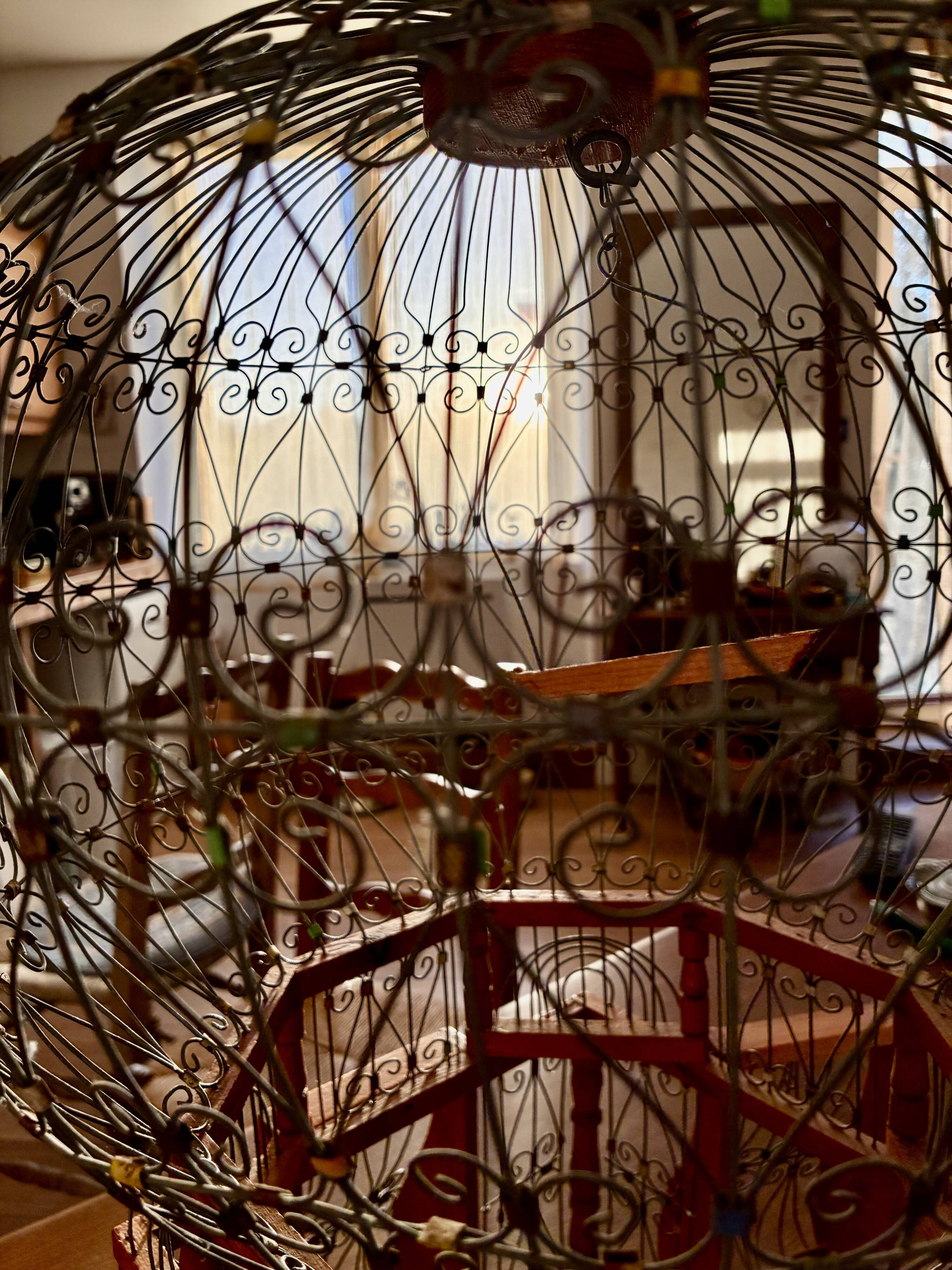 Cage à oiseaux en bois