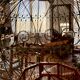 Cage à oiseaux en bois