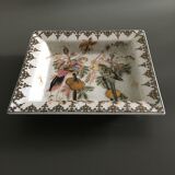 Empty pocket décor parrots