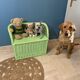 Vintage rattan bench toy chest