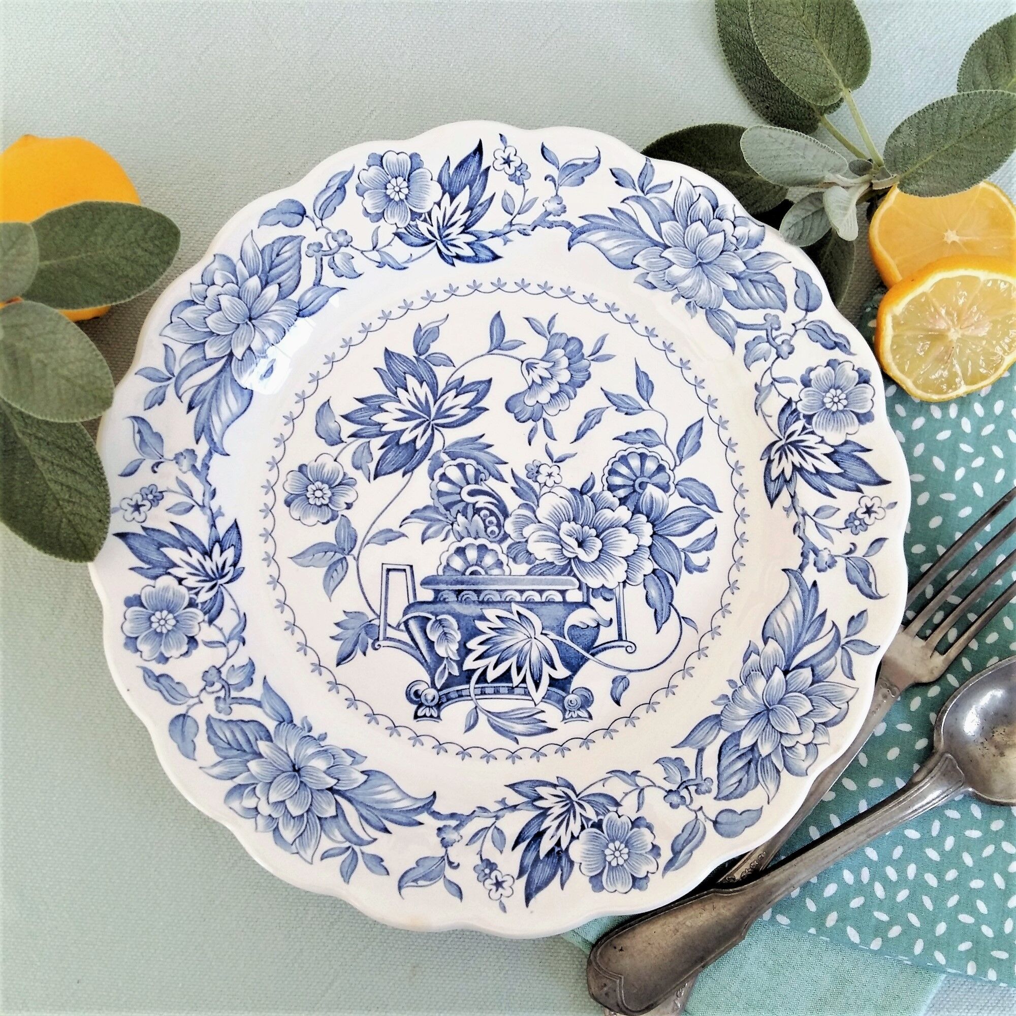 Lot de 6 assiettes de transfert