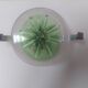 Murano Modernist Wall Light