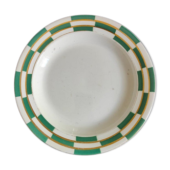 Salins dish