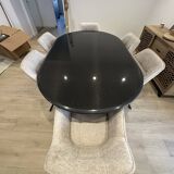 Carbon fiber dining table