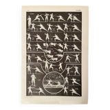 Photographic plate on fencing - 1940