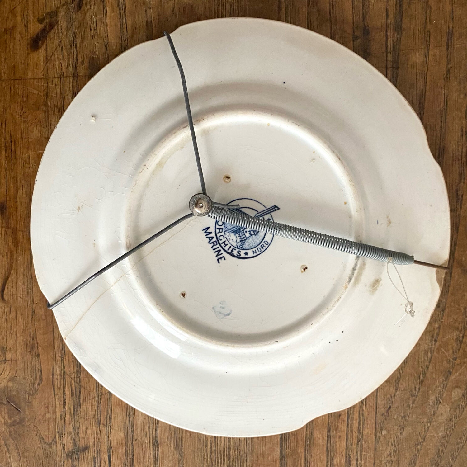 Orchid plate "Marine"
