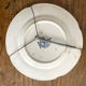Orchid plate "Marine"