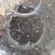 Large Beer Mug in Bubbled Glass from Biot - Straw Yellow - Signed
