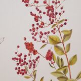 Botanical board Henna