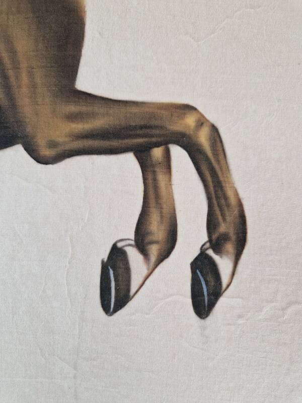 La Roche Laffitte (Born in 1943) - Watercolour drawing on fabric - Horse