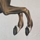 La Roche Laffitte (Born in 1943) - Watercolour drawing on fabric - Horse