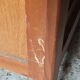 Parisian wardrobe in wood