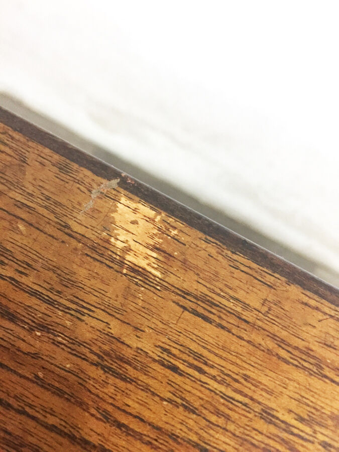 Scandinavian coffee table 2 in 1, 1960